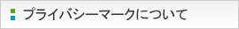 九州日立システムズのプライバシーマークについて