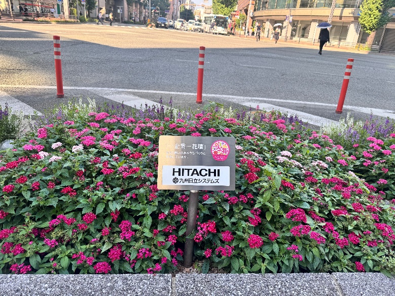 一人一花運動(2025年3月)01