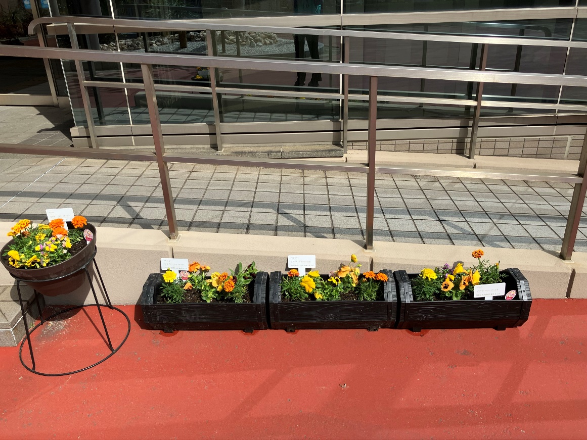 一人一花運動(2025年3月)02